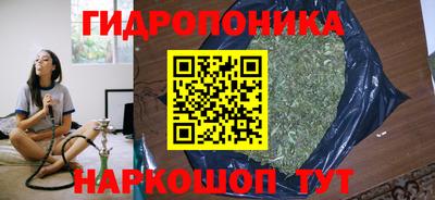 ECSTASY Моздок