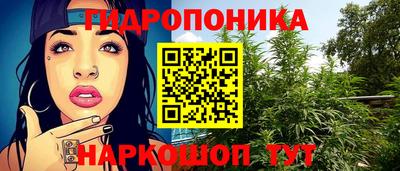 Альфа ПВП Можайск