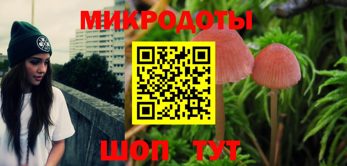 где можно купить   Псилоцибиновые грибы ЛСД  Вход с VPN  Волгоград 